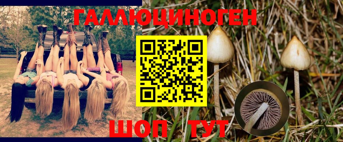Галлюциногенные грибы MAGIC MUSHROOMS Пугачёв