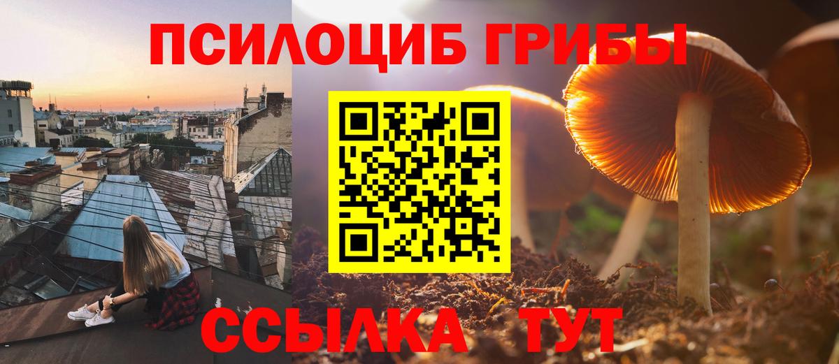 Пугачёв  Псилоцибиновые грибы ЛСД  Вход с VPN 